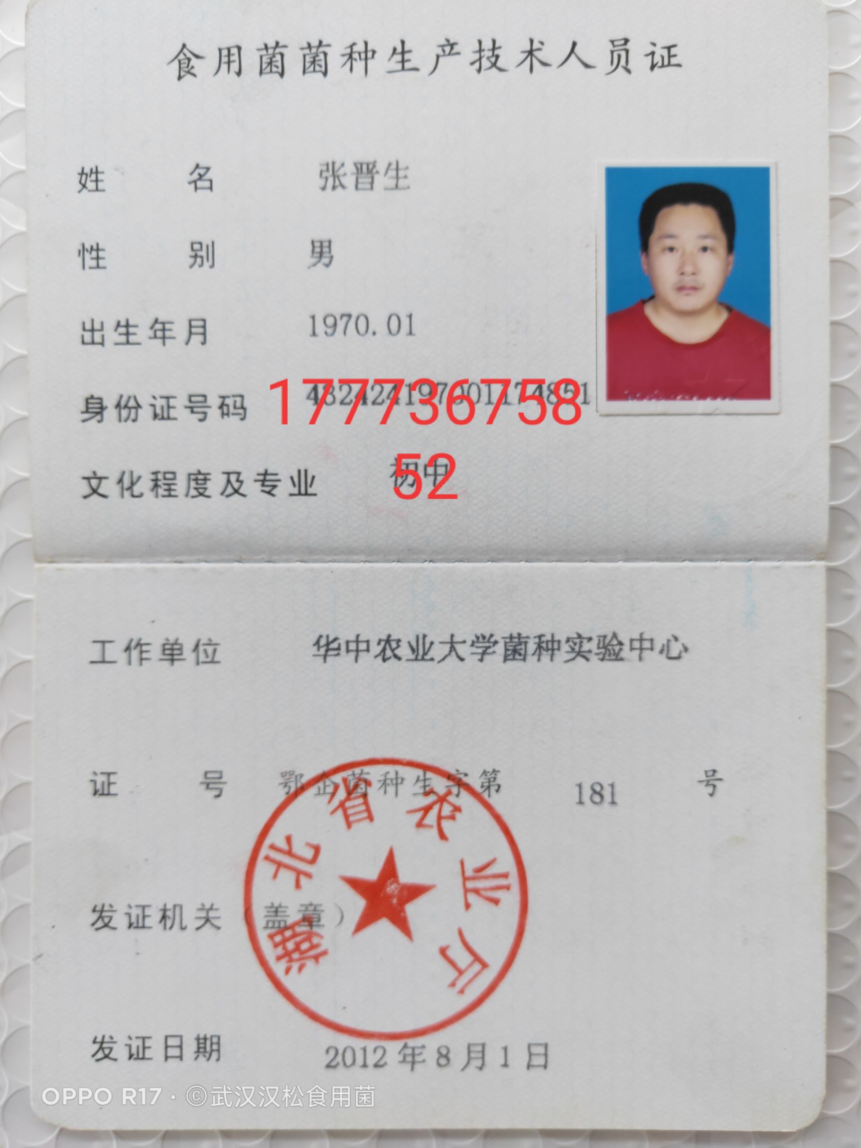 木耳菌种  黑木耳栽培种，袋料，椴木栽培的都有，保质保量，在