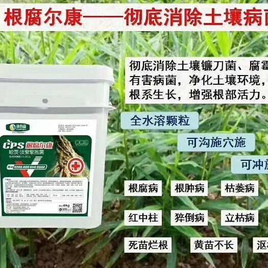 郑州复合微生物菌剂 消除土壤镰刀菌 死苗  根腐 立枯  解决作物根部病害