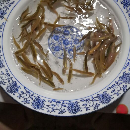 太康县泥鳅苗 泥鳅寸苗，价格便宜