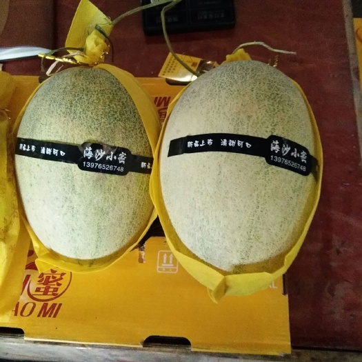 重庆市新疆哈蜜瓜 25晓蜜每盒4个装1盒代发单个3斤起50元/盒