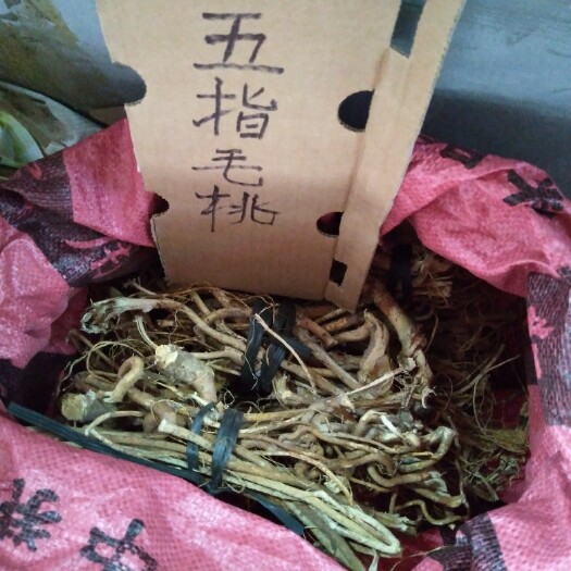 惠州 也生五指毛桃牛奶根捆扎