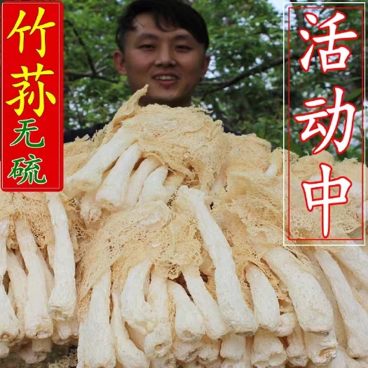 古田县竹荪高山竹荪古田竹荪