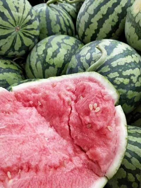 美都西瓜  美都露天有子