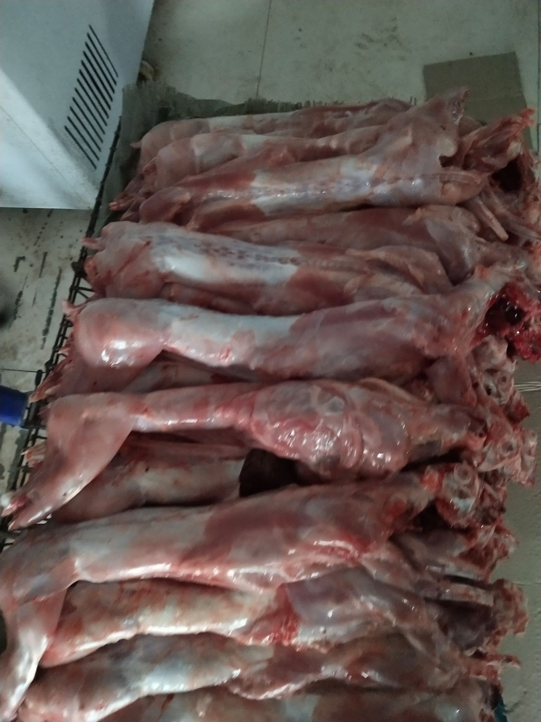 兔肉类  鲜兔肉新鲜兔肉散养现杀速冻后发货2只起整只兔肉生兔