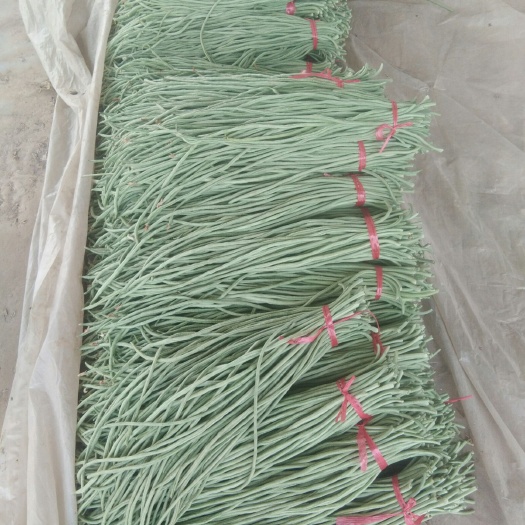 莘县 优质长豆角，大量上市中。