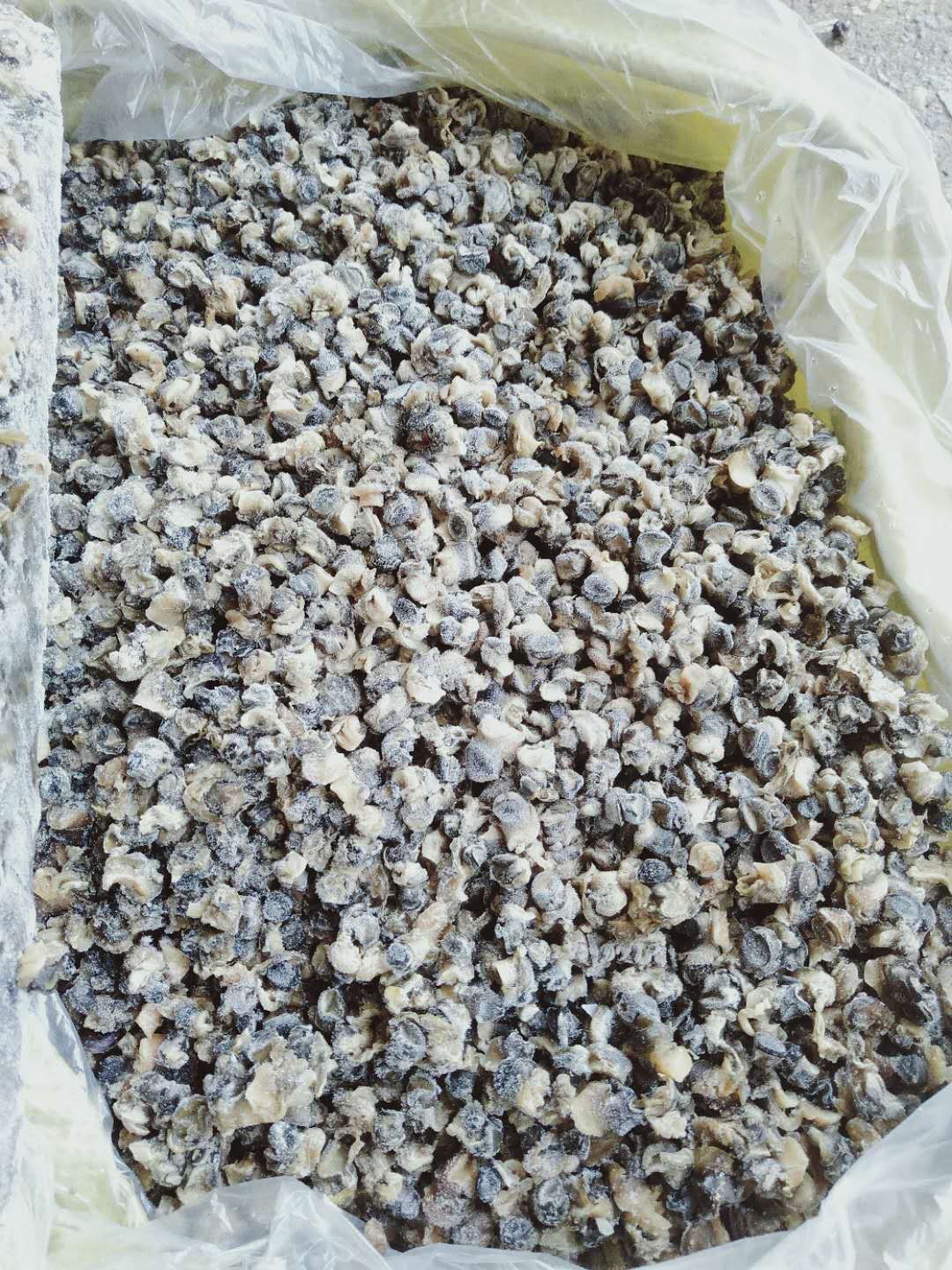 螺蛳 螺丝肉螺狮肉石螺肉田螺肉螺狮尾巴