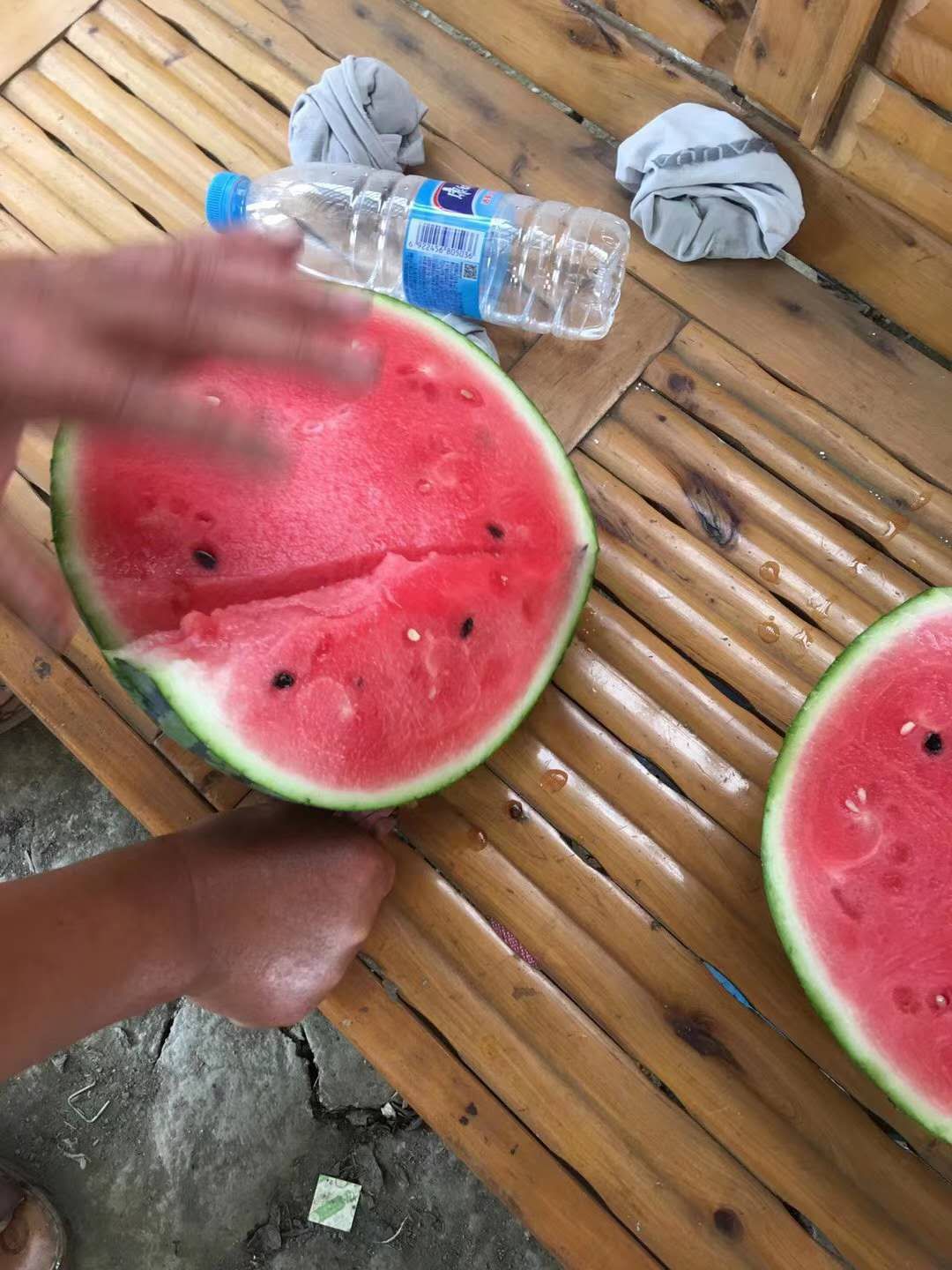 8424西瓜  大棚基地8424精品瓜头茬上市