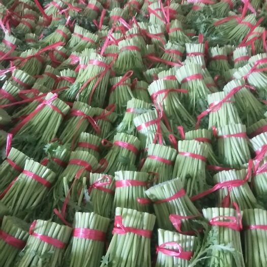  优质茼蒿，冰草即将大量上市，欢迎来电合作