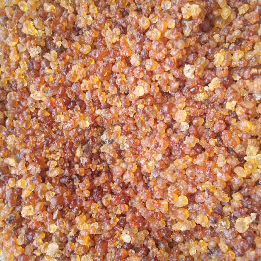 随州黄桃胶 1.0下统货 带颗粒 大量有货 可水洗