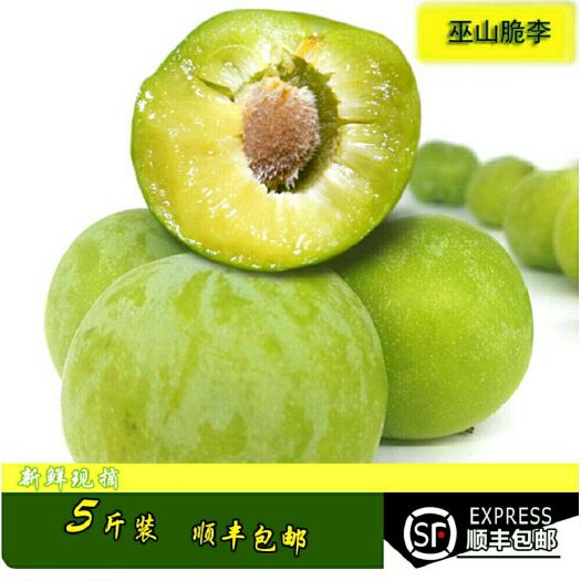 巫山 李子 巫山脆李 一级果  6斤装 顺丰包邮