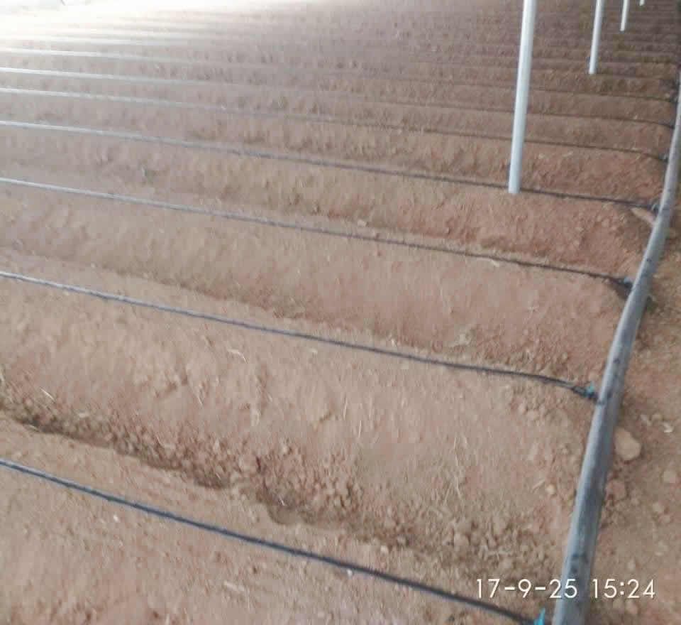 包装工 承接农田果林喷灌微喷滴灌系统施工服务