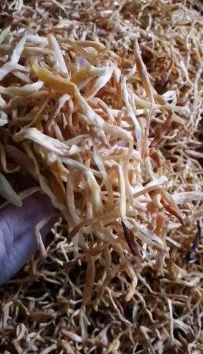 祁东优质黄花菜干货产地直销蔬菜类菜品新鲜天然