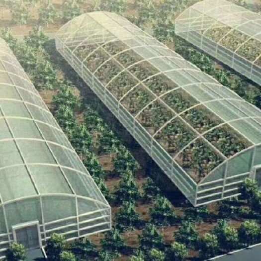 种植大棚 温室种植棚朝阳棚保温被现代农业