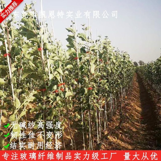 东莞市小拱棚杆 小拱棚玻璃纤维架杆  果苗定植杆 玻璃纤维杆厂家直