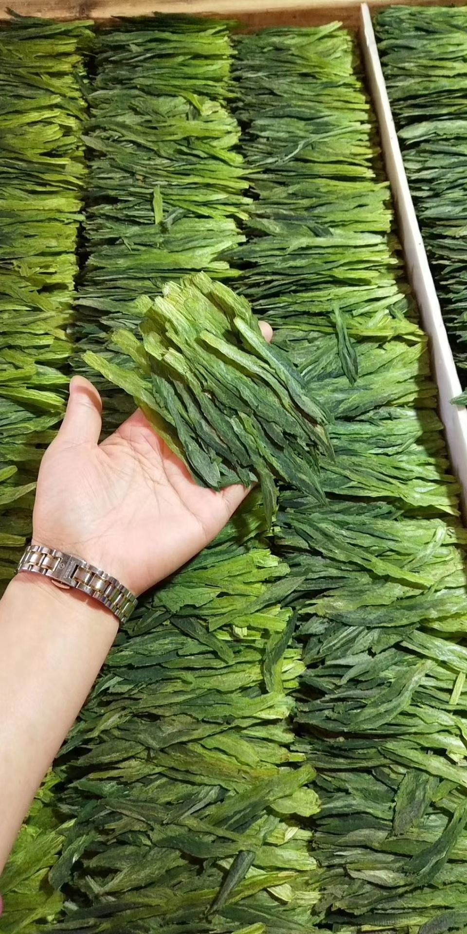  太平猴魁布尖
