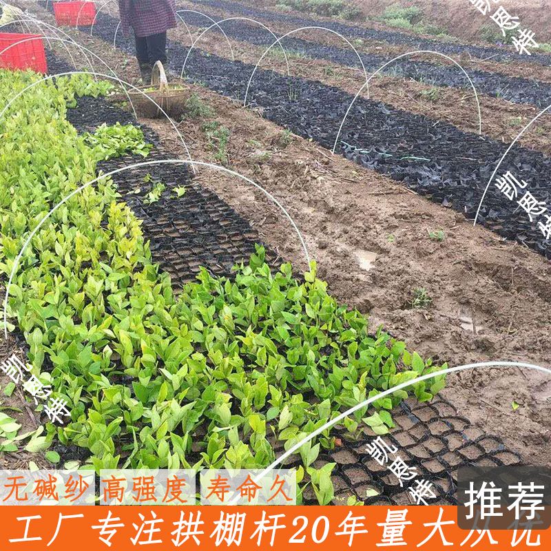 小拱棚杆 小拱棚玻璃纤维架杆  果苗定植杆 玻璃纤维杆厂家直