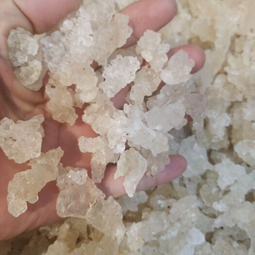 东莞市 雪燕，价格便宜，质量保证。