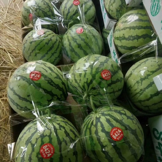 开封2020新鲜大棚8424西瓜，产地直销，8斤打底，一手货源