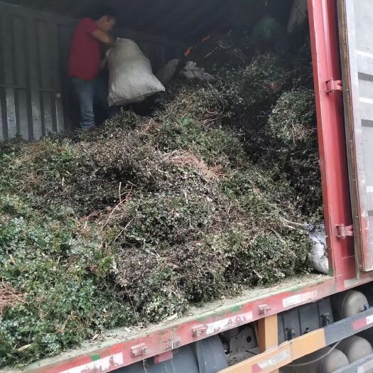 修水县 绣花针大量有货