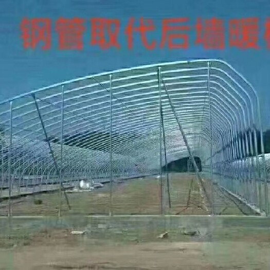 天津钢管大棚 全钢架暖棚