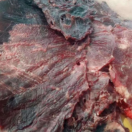 三亚 自家新鲜牛肉干晒，不增加任何材料。吃的放心