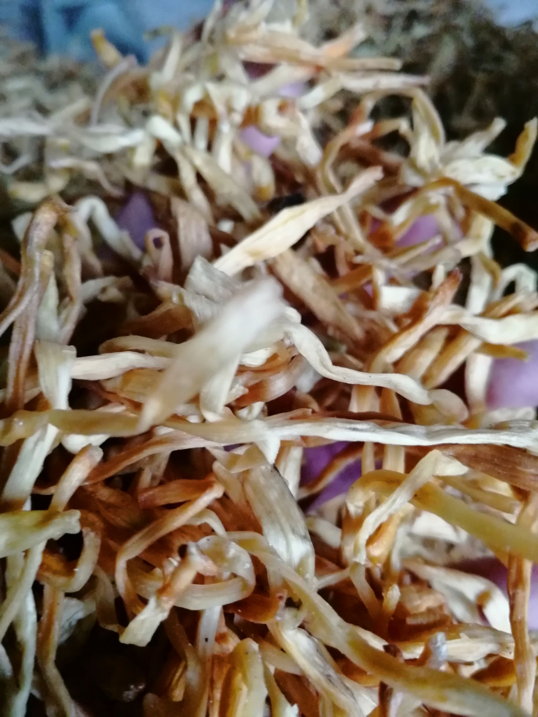 祁东优质黄花菜干货产地直销蔬菜类菜品新鲜天然