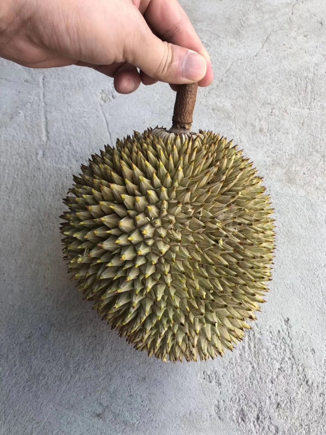 底价批发-马来西亚速冻D24苏丹王榴莲果肉-350g/盒