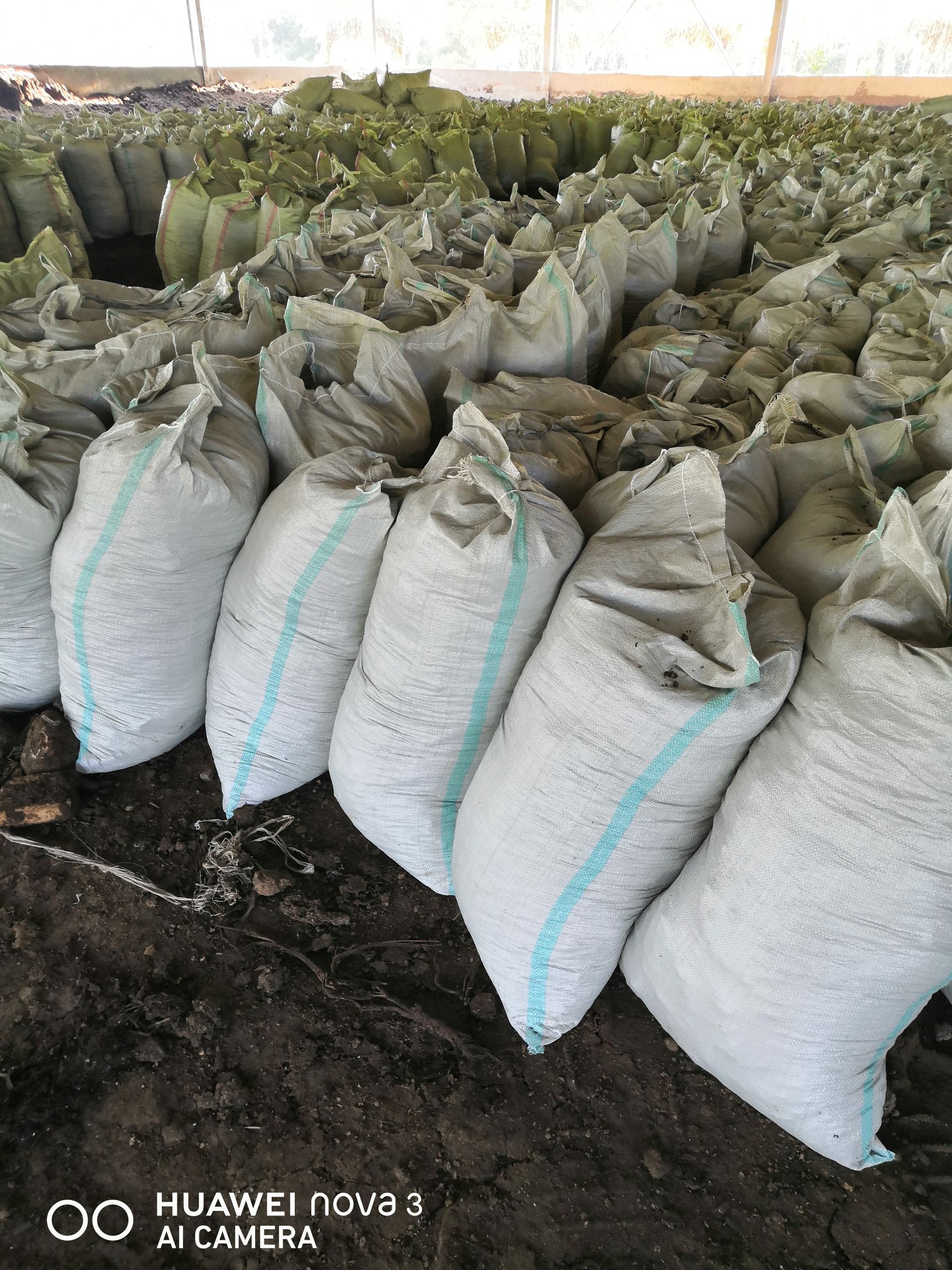  纯牛粪发酵有机肥