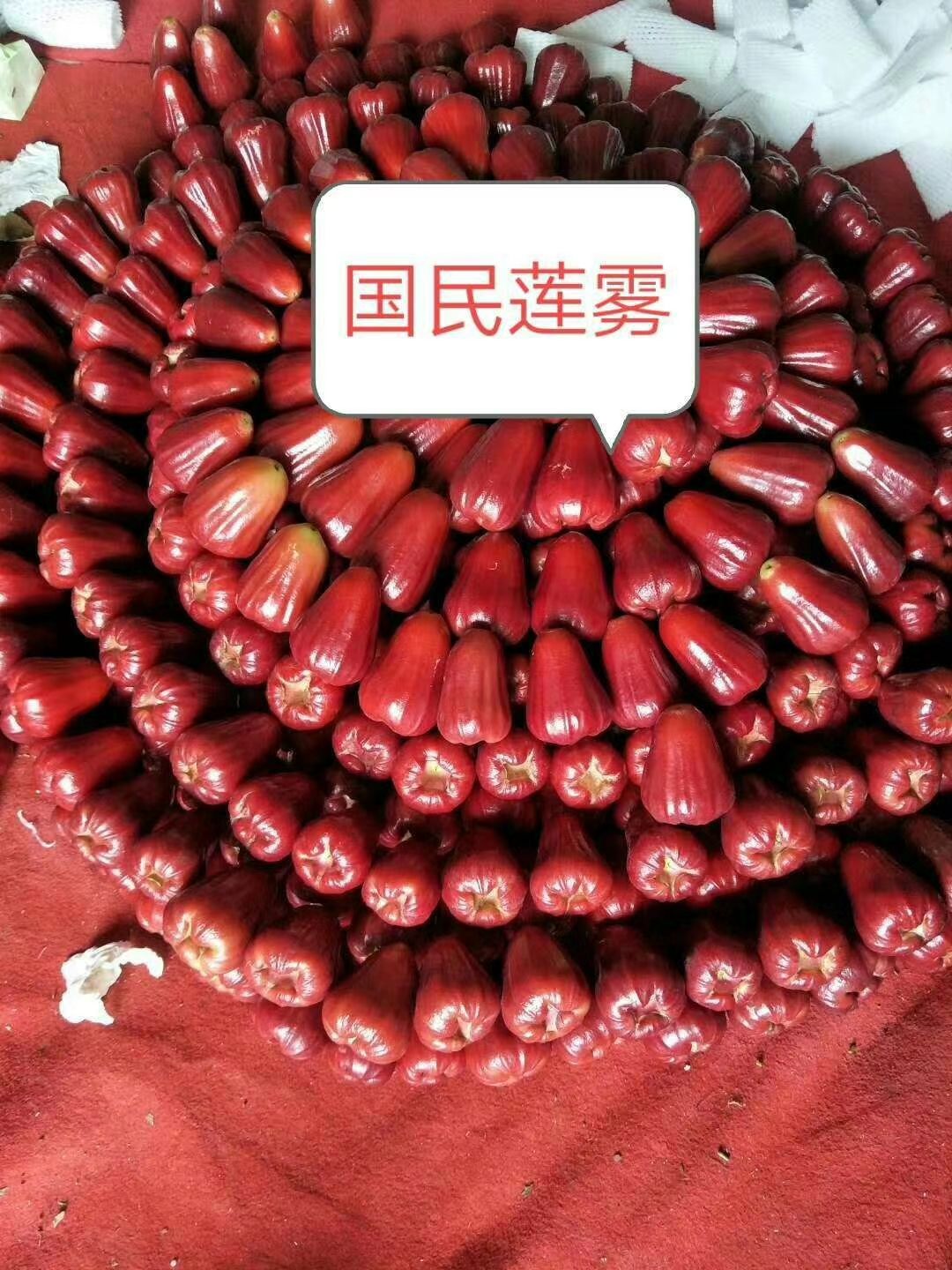 海南黑金刚莲雾，汁多味甜口感脆