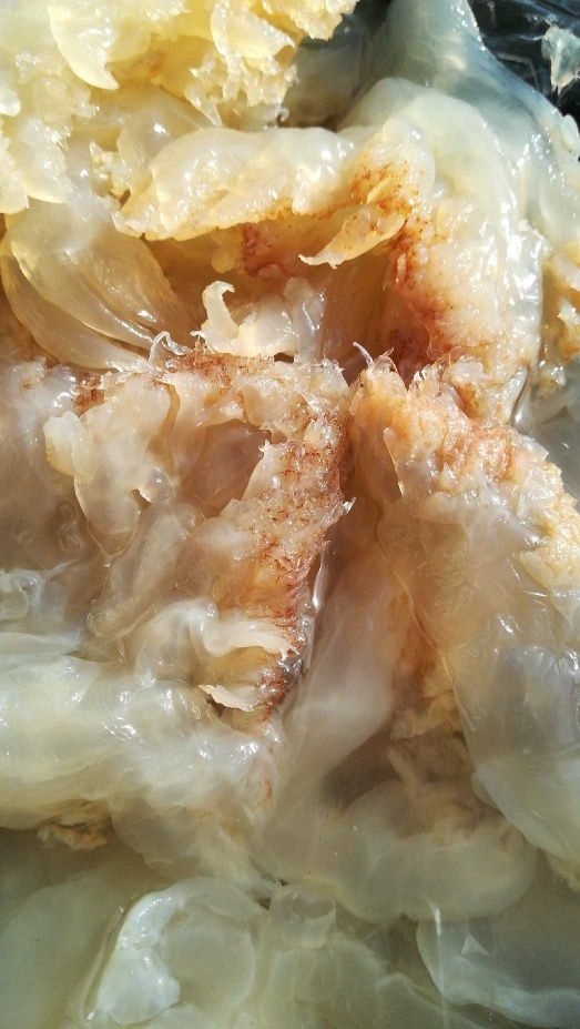 烟台海蜇头大量批发零售酒店餐饮老醋蛰头食材红油蜇头 腌渍海蜇头丝
