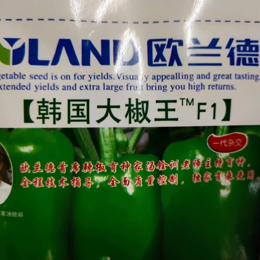 扶沟县牛角椒种子  辣椒种子 韩 大辣椒，详细介绍请看包装说明谢谢