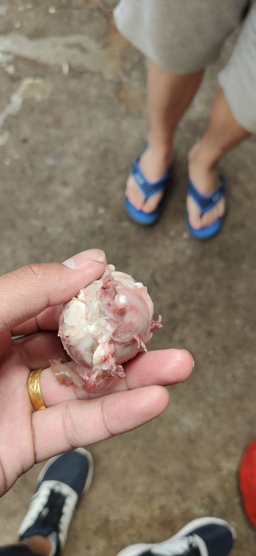羊眼睛 熟羊眼，熟度高，不泡水，精品羊眼常年有貨，一手貨源