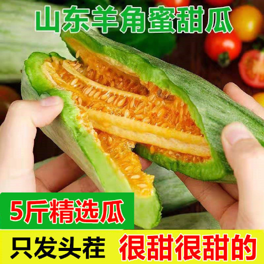 潍坊【现摘现发】山东羊角蜜甜瓜博洋香瓜脆瓜孕妇新鲜水果整箱批发