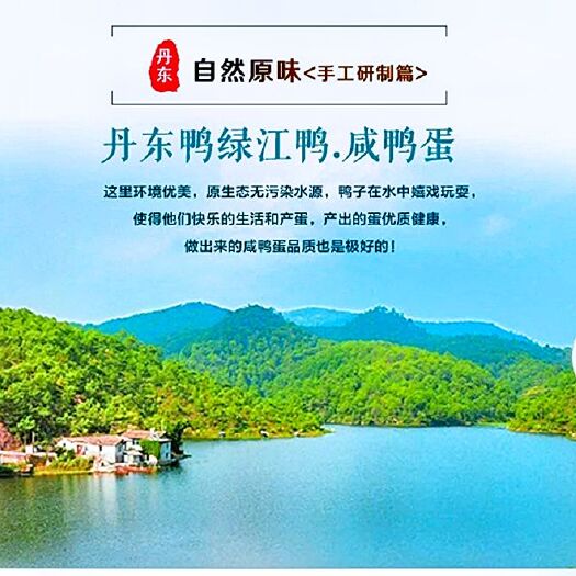 宽甸县咸鸭蛋  鸭绿江河口土鸭蛋
