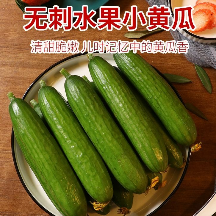 小黄瓜新鲜水果黄瓜水果黄瓜山东生吃现摘蔬菜黄瓜整箱包邮