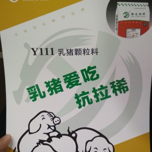 徐州乳猪配合饲料 乳猪爱吃，抗拉稀