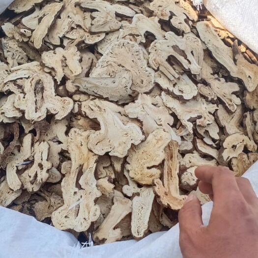 亳州种植合作社供应精品无硫白术个 片 白术片一手货源更多规格咨询