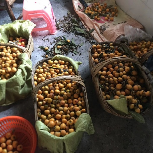 当阳市自家种植枇杷，自然成熟，天然无农药化肥，无催熟