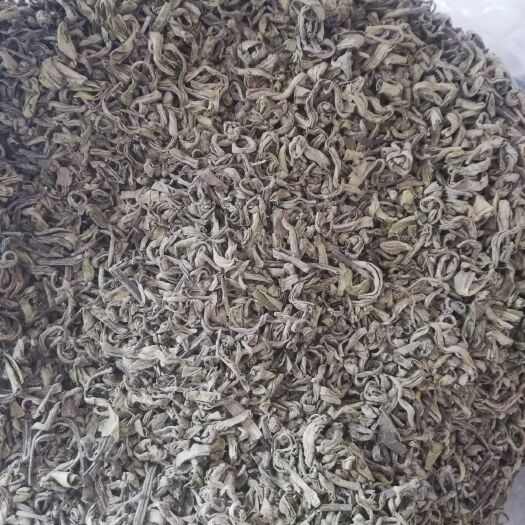 休宁县 苦丁茶