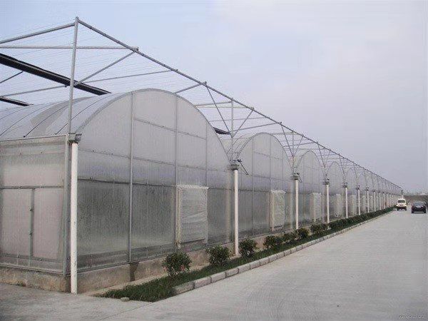 睢宁县连栋棚 连栋大棚钢管大棚  热镀锌  外遮阳风机水帘
