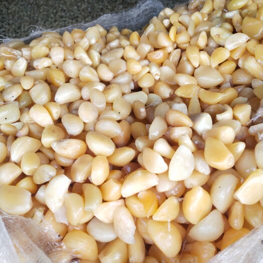 兰陵县 长期大量供应  腌制蒜米  盐制蒜米