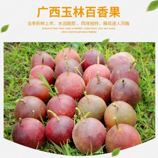 北流市 来自百香果之乡-广西北流新鲜采摘自然成熟的百香果