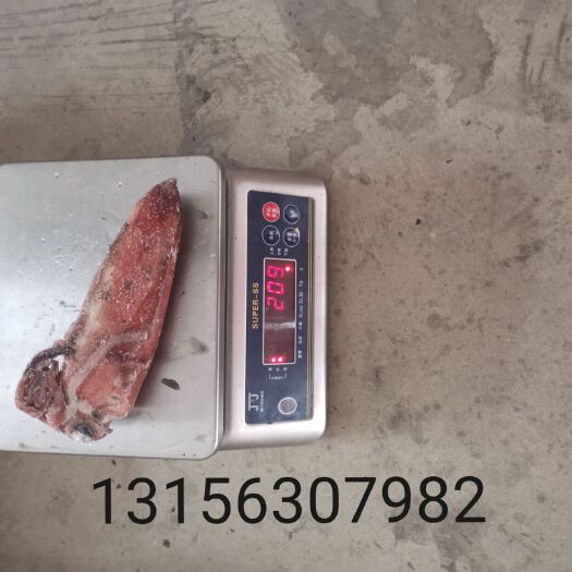 荣成市红鱿鱼  红鱿 货量不多价格便宜 先到先得