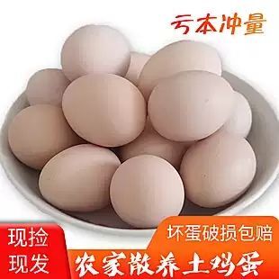 东台市 正宗散养草鸡蛋土鸡蛋40枚/箱一件代发