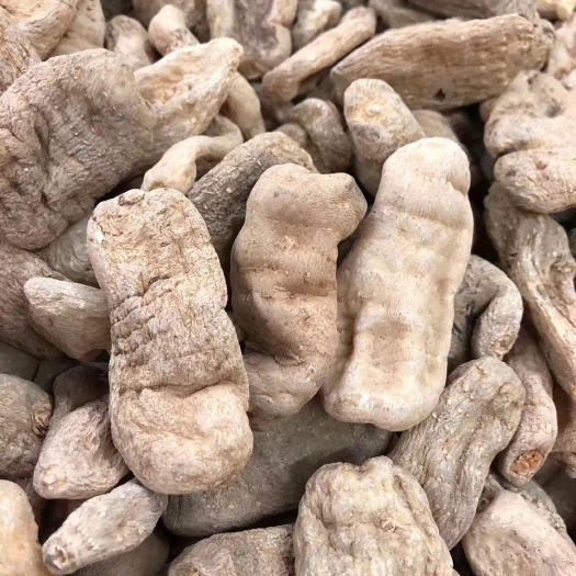 昆明 天麻 昭通天麻 正宗昭通小草坝天麻特级