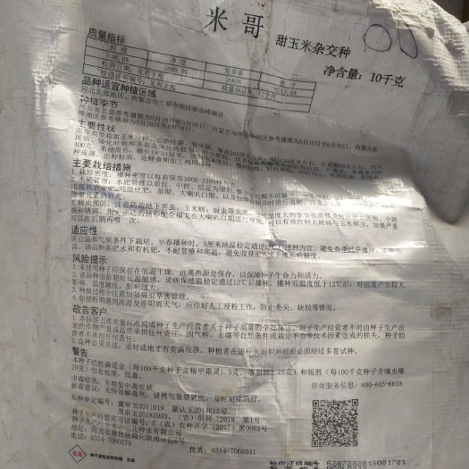 开鲁县 甜玉米种子