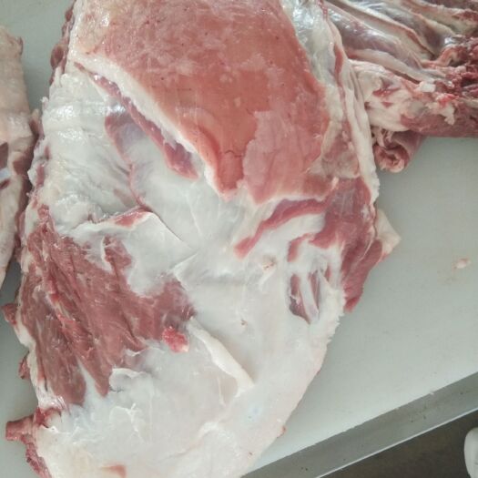 巴林右旗羊排骨 育肥羊肉排
