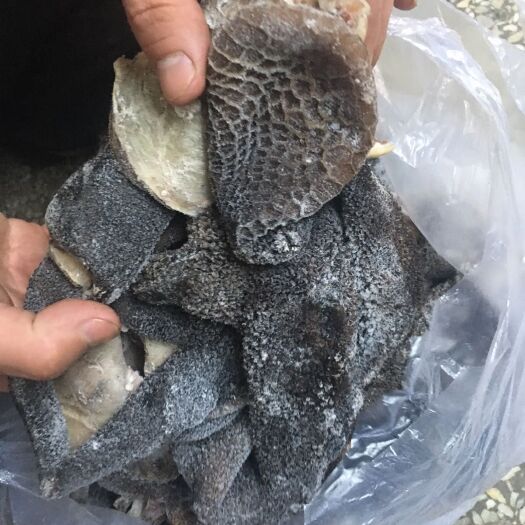 阳信县 全熟羊肚