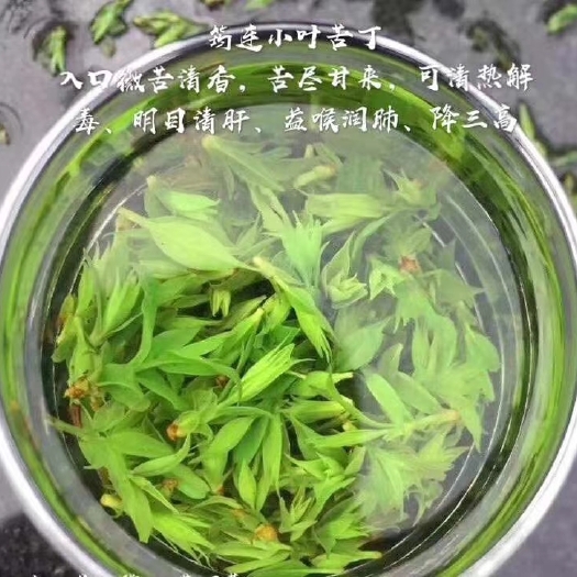 大叶种茶 各种茶叶