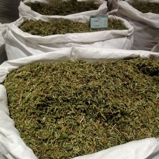 亳州伸筋草  产地直销一手货源，各种规格，货真价实质量保证